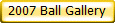2007 Ball Gallery